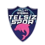 Telsizspor (W)