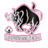 https://img.jalalive.tw/img/football/team/97c3ef30cac48cadff97605e387feefa.png